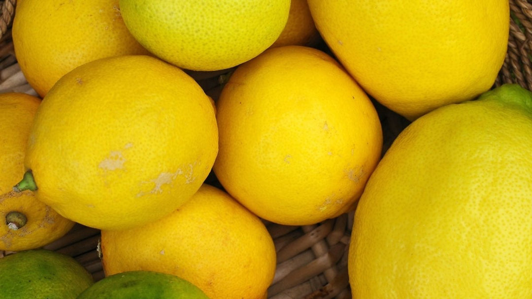 Citrus Rush - MoodCompanyNL