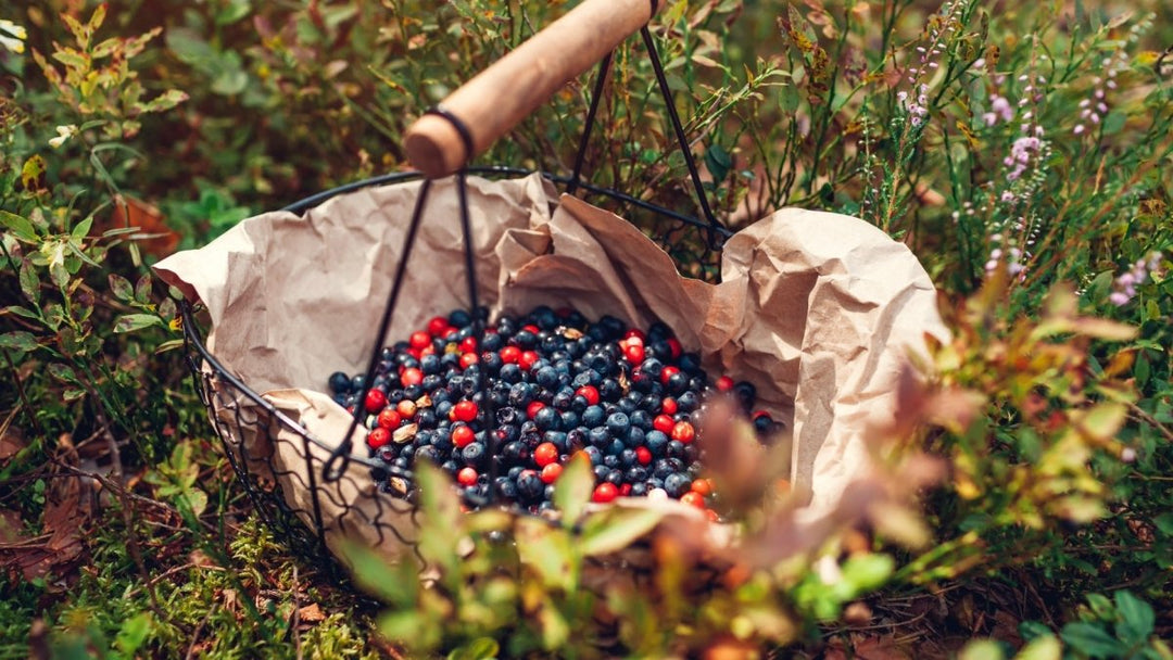 Heide en Wilde Bessen - MoodCompanyNL