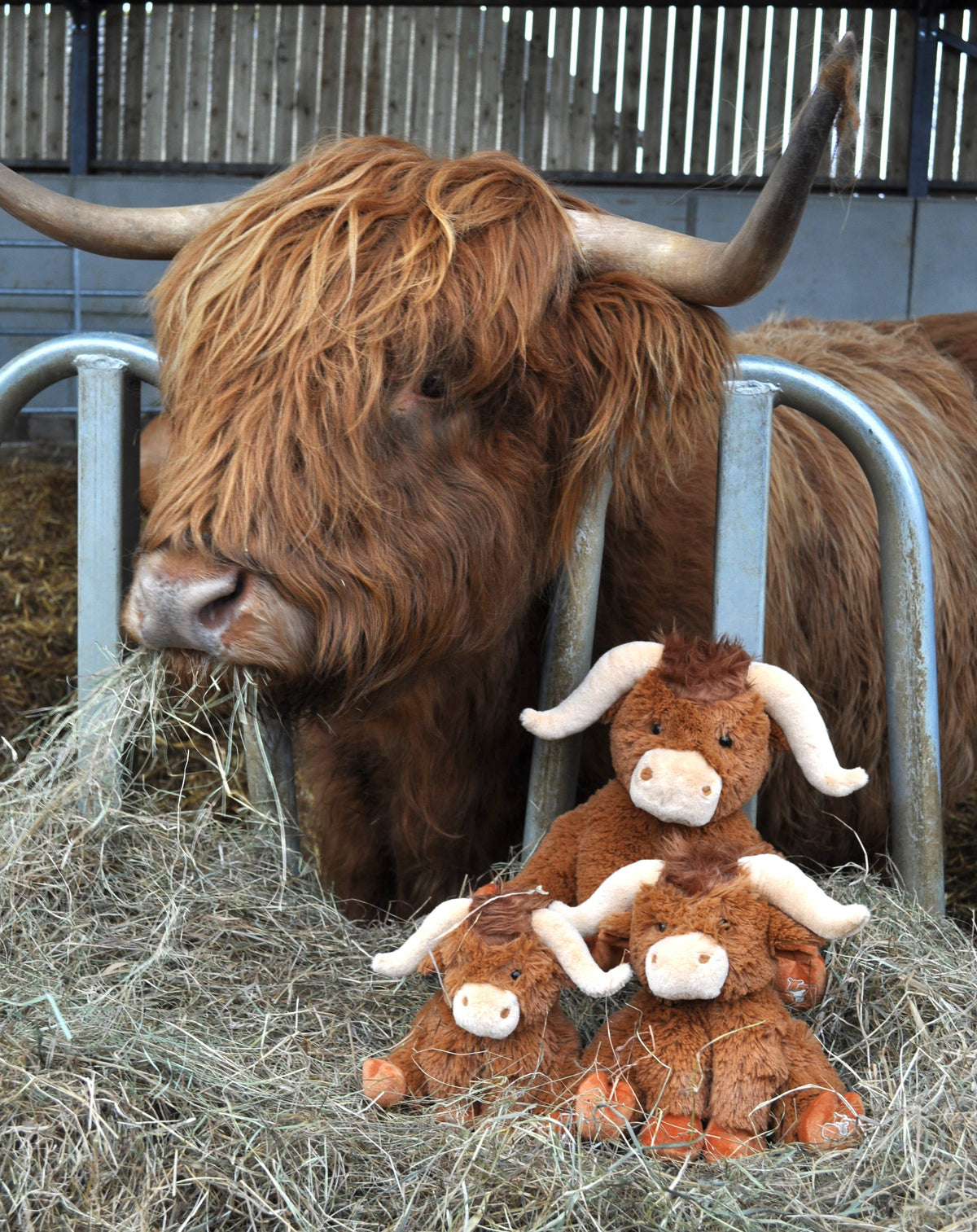 Highland Cow Soft Toy Brown - 30 cm - Soft Plush - Jomanda
