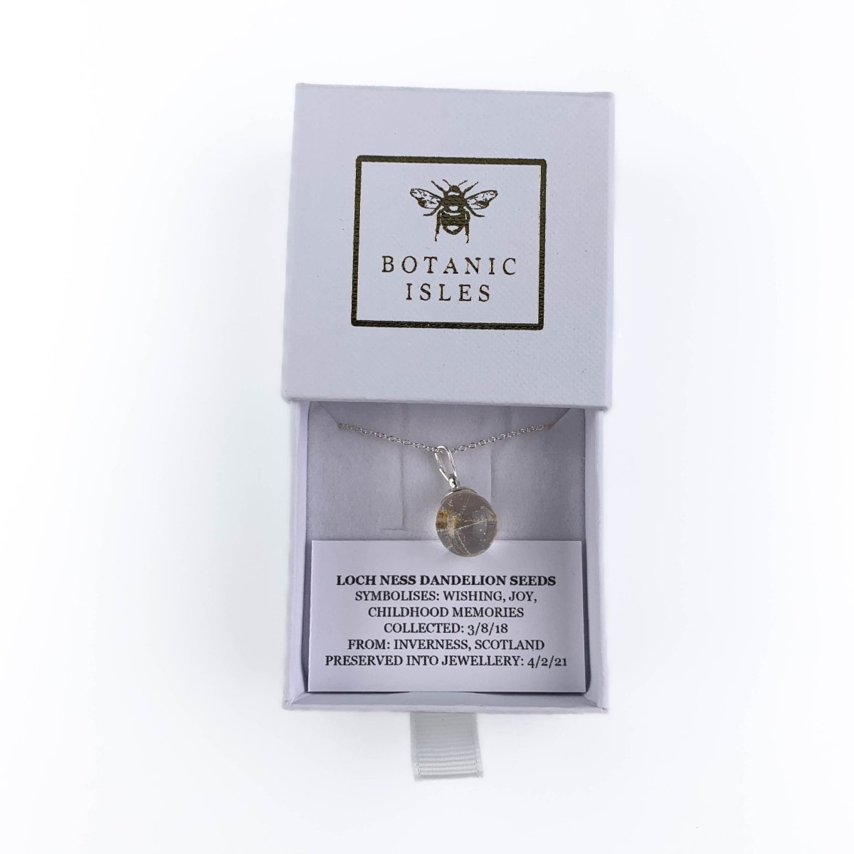 MoodCompanyNL - Halsketting Loch Ness Dandelion (Paardebloem) seeds Sterling Silver - 6095655833848
