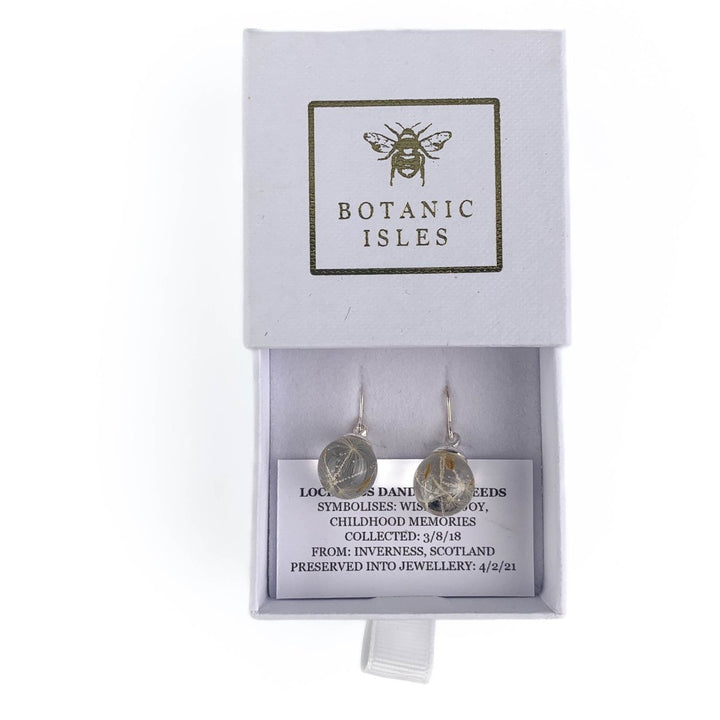 MoodCompanyNL - Oorbellen Loch Ness Dandelion (Paardebloem) Seeds Sterling Silver - 6095650295283