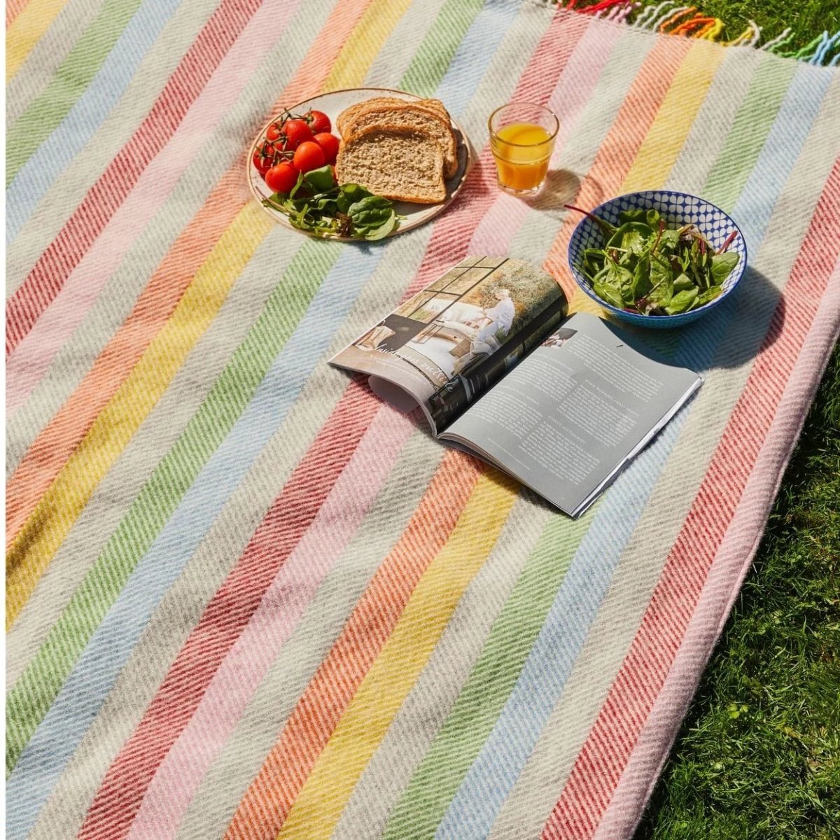 Picknickkleed Polo Regenboog - Wol - Waterdicht - 145x183cm - Tweedmill by MoodCompanyNL